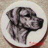 Ridgeback, ridžbek magnet nebo placka