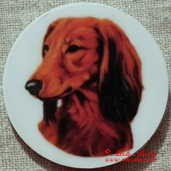 Jezevčík dlouhosrstý  magnet nebo placka