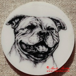 Stafordšírský bulteriér magnet nebo placka