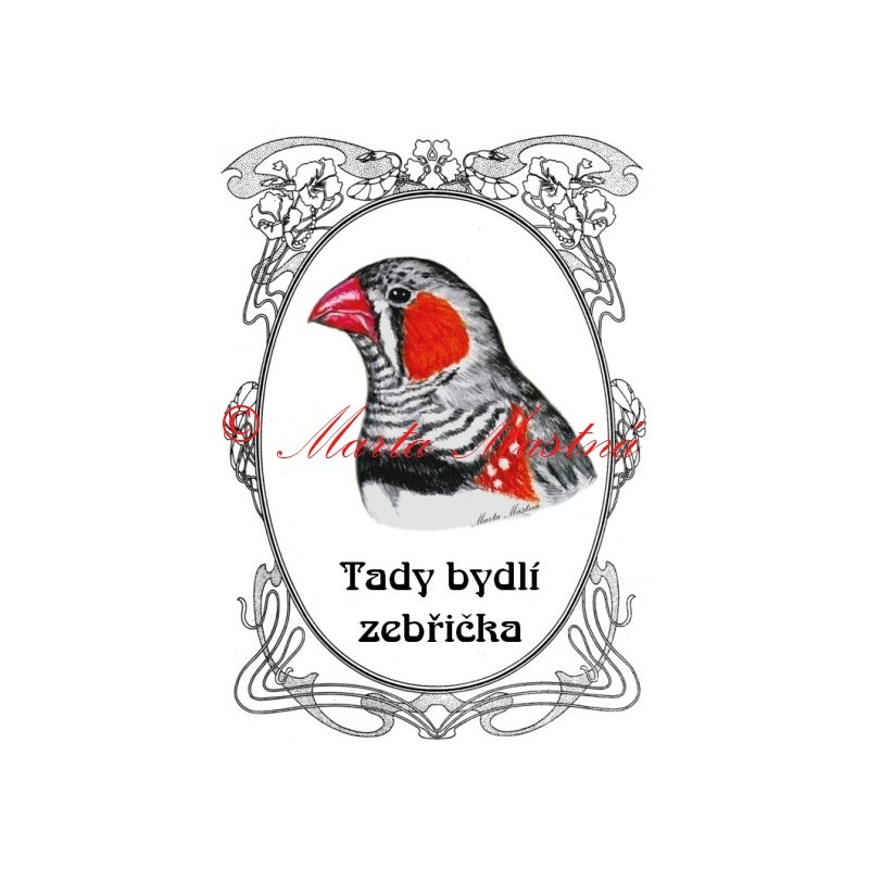 Tabulka zebřička