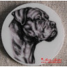 Cane corso magnet nebo placka