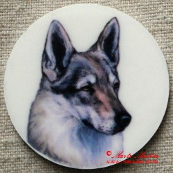 Československý vlčák, vlk magnet nebo placka