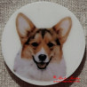 Velškorgi, welshcorgi pembrok magnet nebo placka