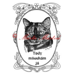 Tabulka kočka želvovinová