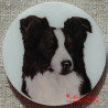 Border kolie magnet nebo placka