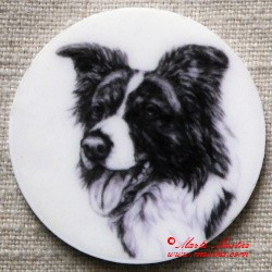 Border kolie magnet nebo placka