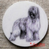 Briard magnet nebo placka