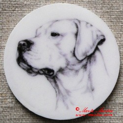 Argentinská doga nebo placka