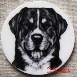 Velký švýcarský salašnický pes magnet nebo placka