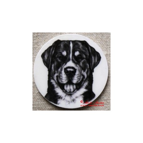 Velký švýcarský salašnický pes magnet nebo placka