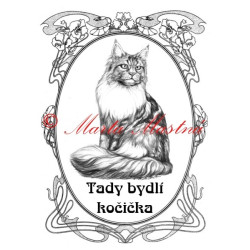 Tabulka kočka mainská mývalí