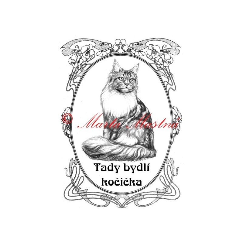 Tabulka kočka mainská mývalí