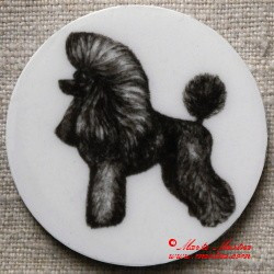 Pudl magnet nebo placka