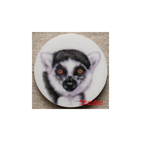 Lemur kata magnet nebo placka