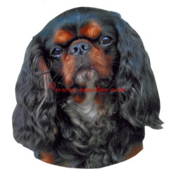 Samolepka King Charles španěl-archiv