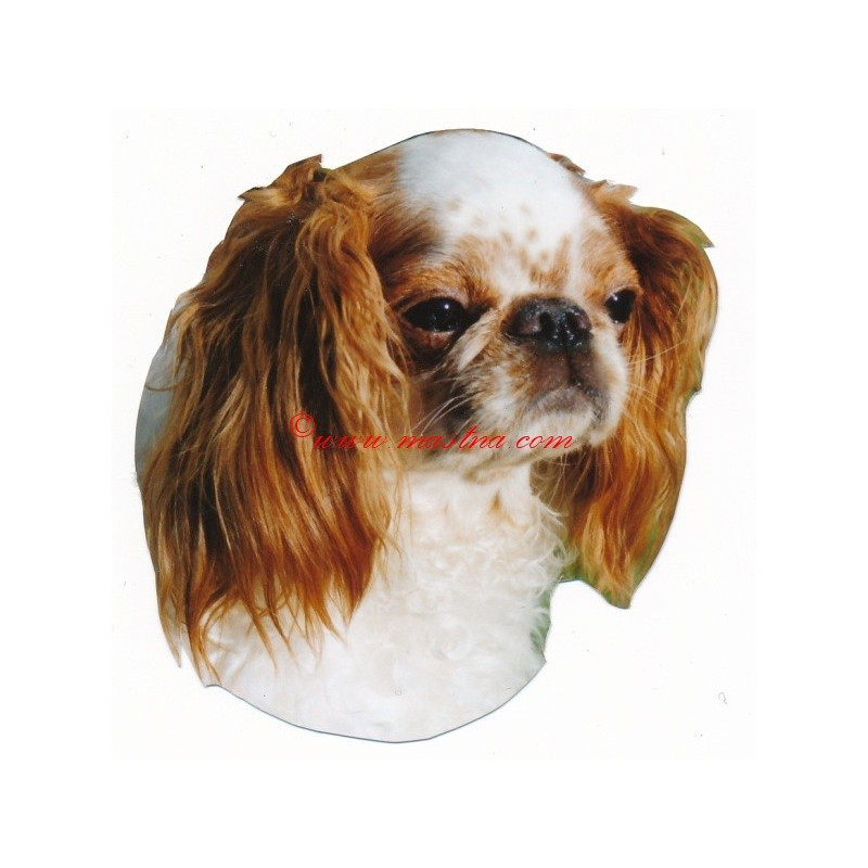 Samolepka King Charles španěl-archiv