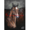 Obraz arabský kůň, hříbě, olejomalba - tisk
