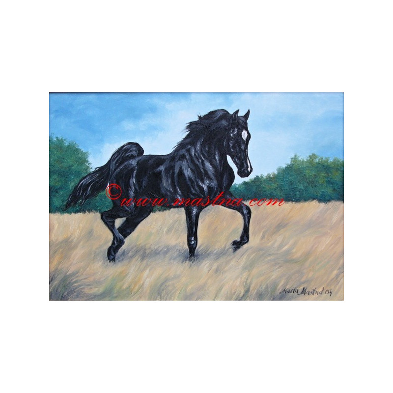 Obraz arabský kůň, olejomalba - tisk