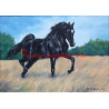 Obraz arabský kůň, olejomalba - tisk