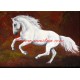 Obraz kladrubský kůň, koně, olejomalba - tisk
