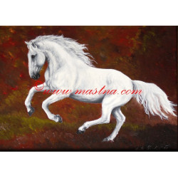 Obraz kladrubský kůň, koně, olejomalba - tisk