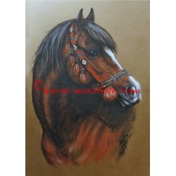Obraz arabský kůň, koně, pastel - tisk