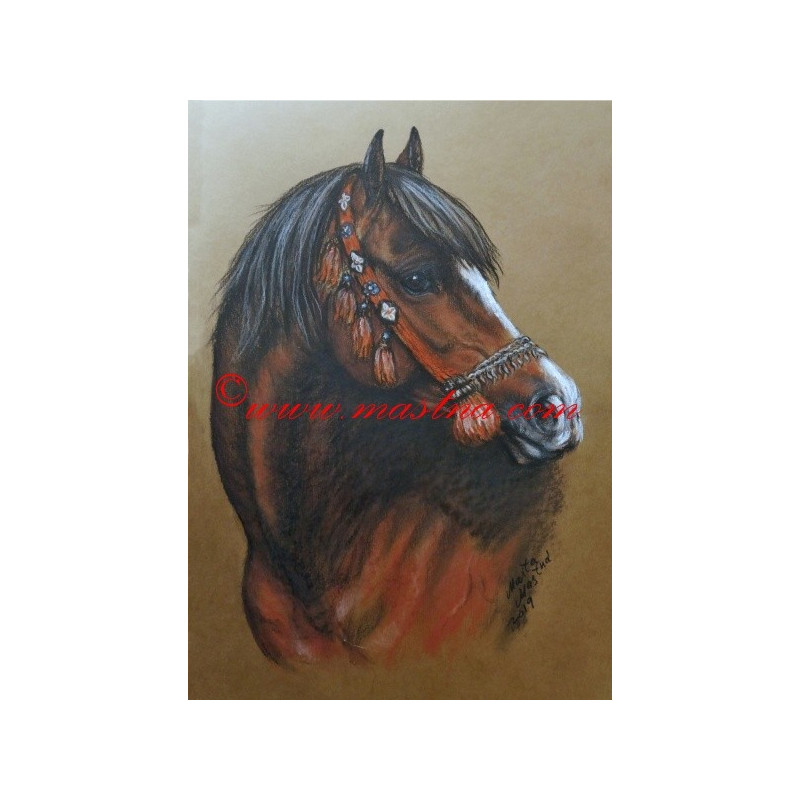 Obraz arabský kůň, koně, pastel - tisk