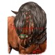 Obraz Phar Lap, kůň, koně, perokresba - tisk