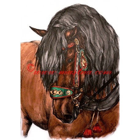 Obraz Phar Lap, kůň, koně, perokresba - tisk