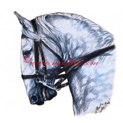 Obraz kladrubský kůň, koně, pastel - tisk