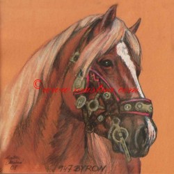 Obraz chladnokrevník Byron kůň, koně, pastel - tisk