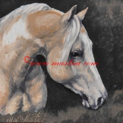 Obraz paint horse, koně, olejomalba - tisk