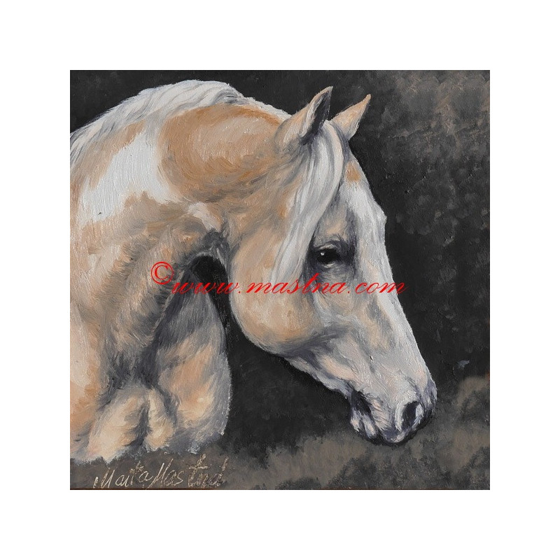 Obraz paint horse, koně, olejomalba - tisk