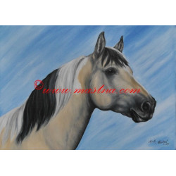 Obraz paint horse, koně, olejomalba - tisk