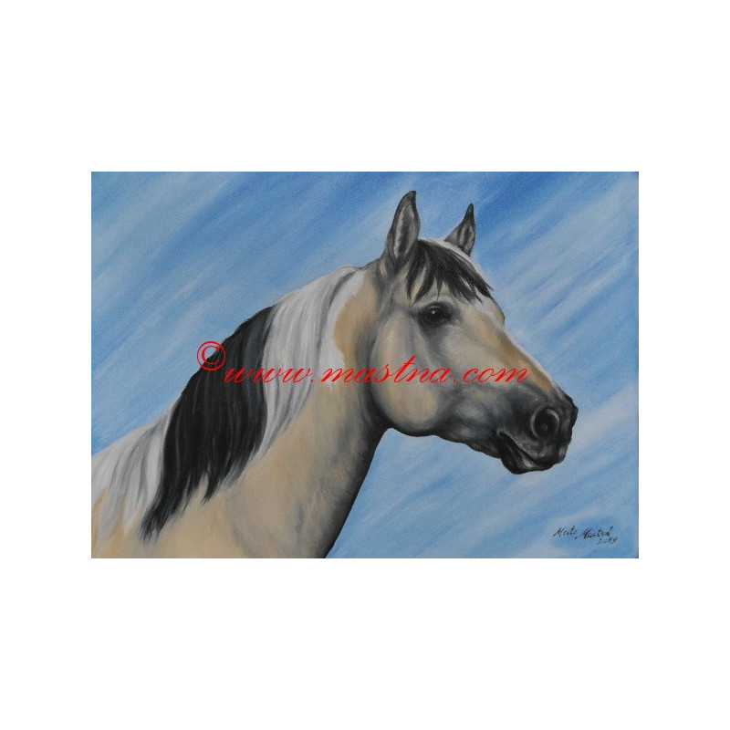 Obraz paint horse, koně, olejomalba - tisk