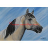 Obraz paint horse, koně, olejomalba - tisk