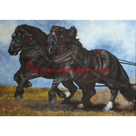 Obraz chladnokrevníci, koně, olejomalba - tisk