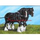 Obraz shire horse, chladnokrevníci, koně, olejomalba - tisk