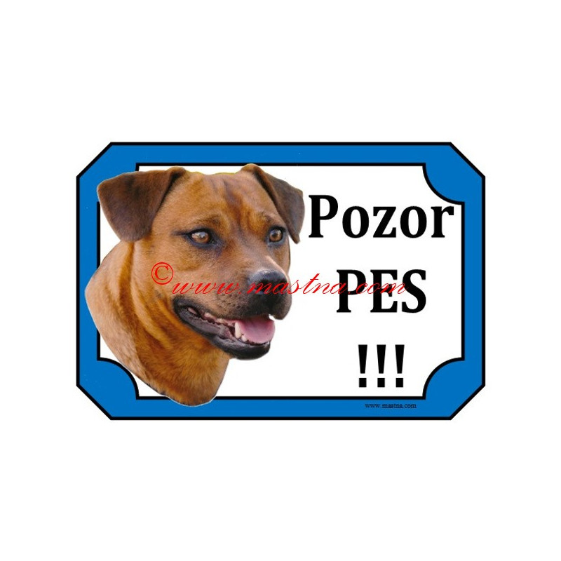 Cedulka patterdale teriér