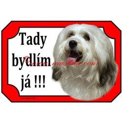 Cedulka havanský psík