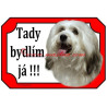 Cedulka havanský psík