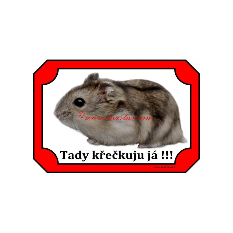 Cedulka křeček džungarský