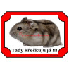 Cedulka křeček džungarský