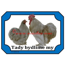 Cedulka drůbež, kohout, slepice kočinka