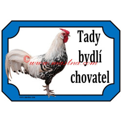 Cedulka drůbež, kohout hamburčanka