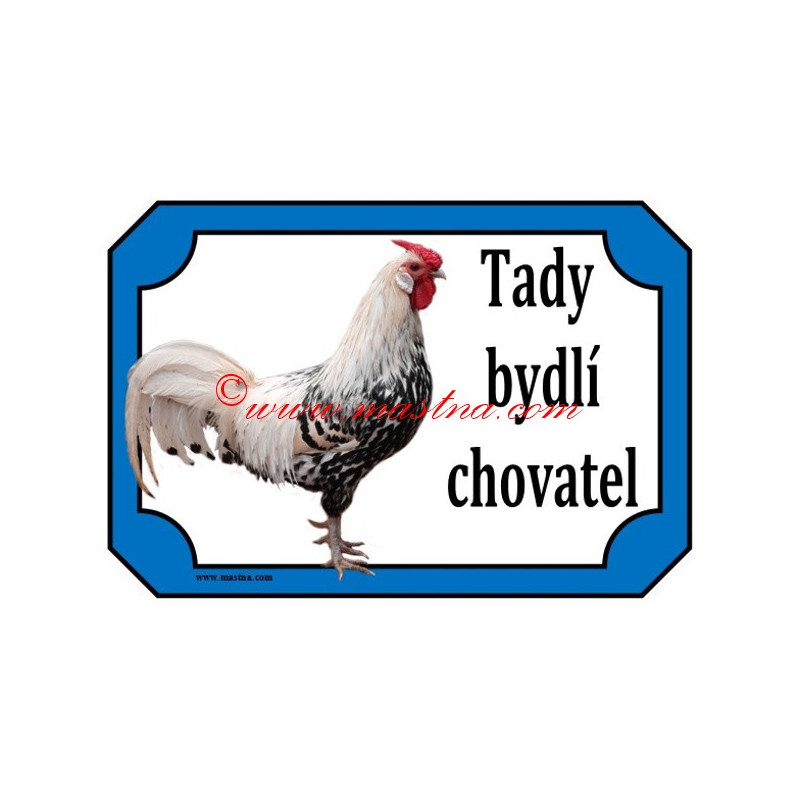 Cedulka drůbež, kohout hamburčanka