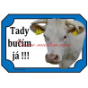 Cedulka kráva charolais, skot