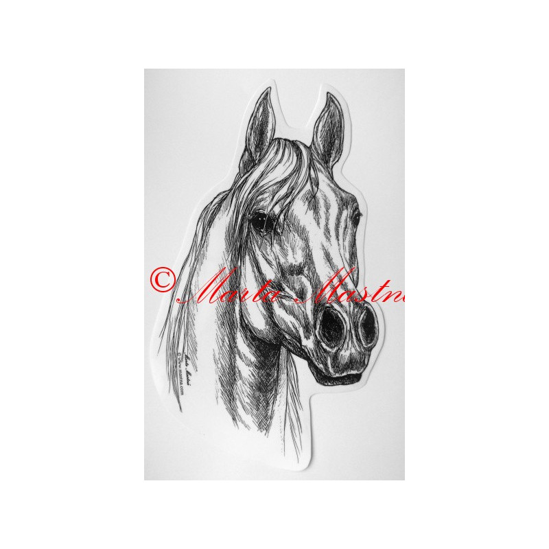 Samolepka kůň arabský