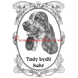 Cedulka kokršpaněl bělouš