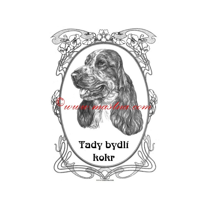 Cedulka kokršpaněl bělouš